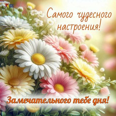 Открытка «Пожелание»: Чудесное настроение и замечательный день!. Тэги: улыбка, красивая, позитив, радость, цветок…