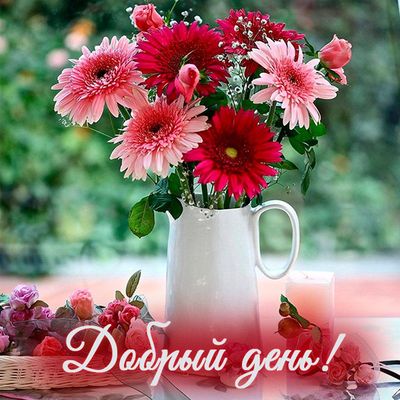 Открытка «Пожелание»: Добрый день! Нежный букет цветов для хорошего дня. Тэги: красивая, позитив, радость, добрый день…