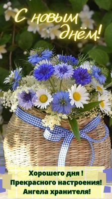 Открытка «Пожелание»: С новым днём! Летний букет и хорошее настроение. Тэги: красивая, позитив, радость, цветок…