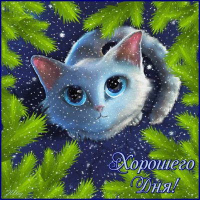 Открытка «Хорошего дня»: Хорошего Дня! Милый кот в снегу - пожелание. Тэги: кот, животное, пожелание, красивая…
