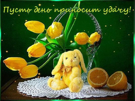 Открытка «Животное»: Пусть день приносит удачу! Позитивное пожелание. Тэги: пожелание, улыбка, позитив, радость…