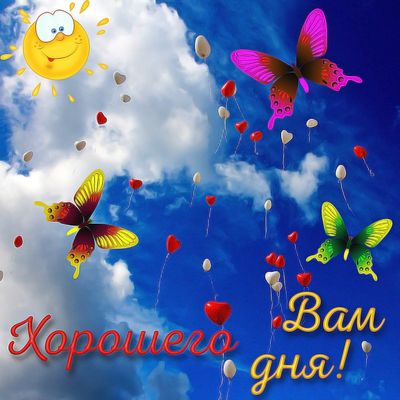 Открытка «Животное»: Хорошего дня! Яркий позитив и улыбка солнца. Тэги: пожелание, улыбка, красивая, позитив, радость…