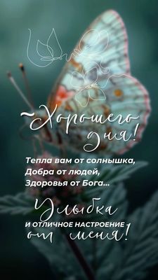 Открытка «Животное»: Хорошего дня! Тепла, добра и улыбок. Тэги: пожелание, улыбка, красивая, позитив, радость, здоров…