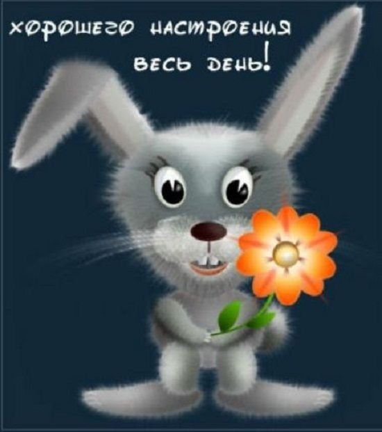 Открытка «Животное»: Хорошего настроения весь день! Милый зайчик с цветком. Тэги: пожелание, прикольная, улыбка…