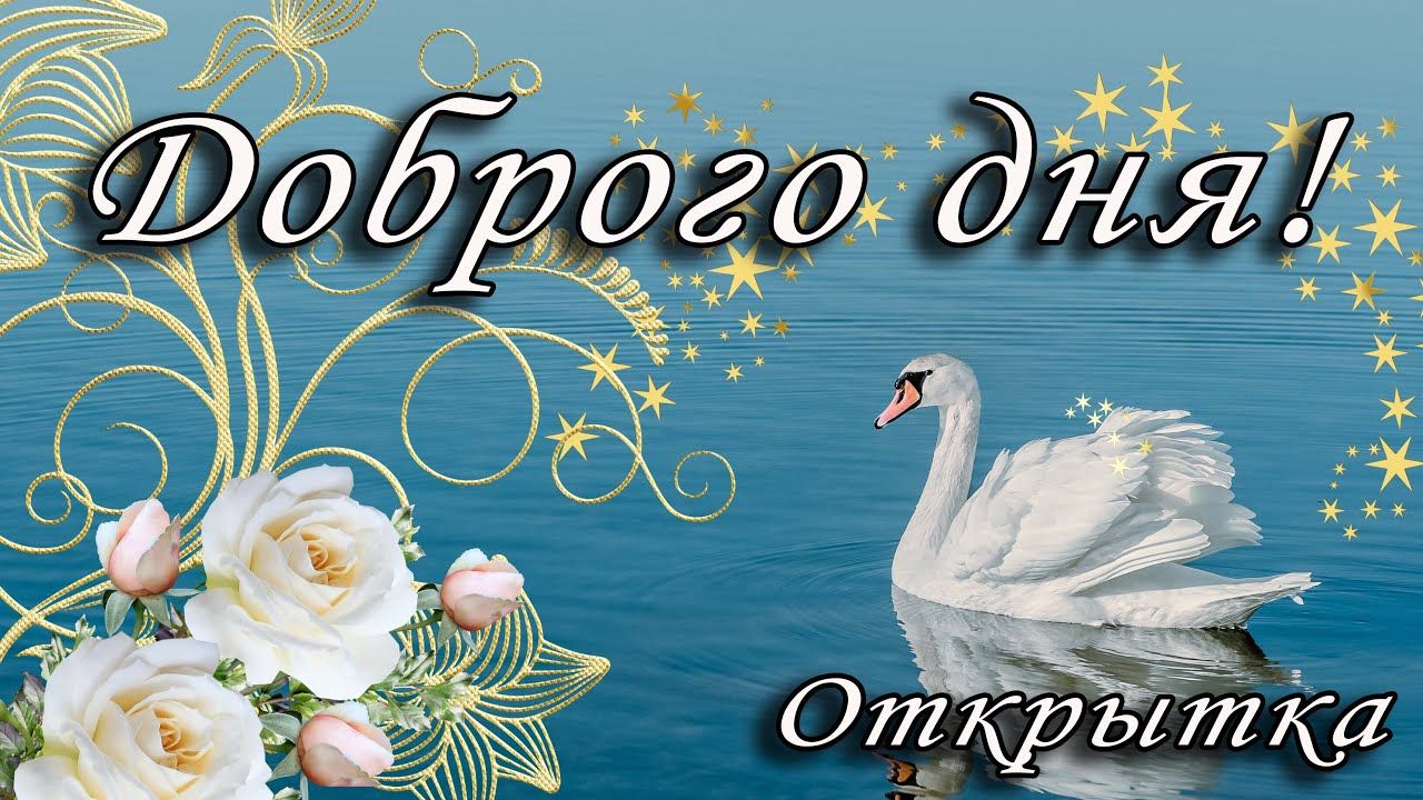 Открытка «Добрый день»: Доброго дня! Красивая открытка с лебедем и цветами. Тэги: Добрый день и добрые пожелания…