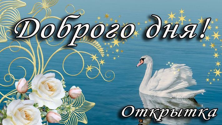 Открытка «Добрый день»: Доброго дня! Красивая открытка с лебедем и цветами. Тэги: Добрый день и добрые пожелания…