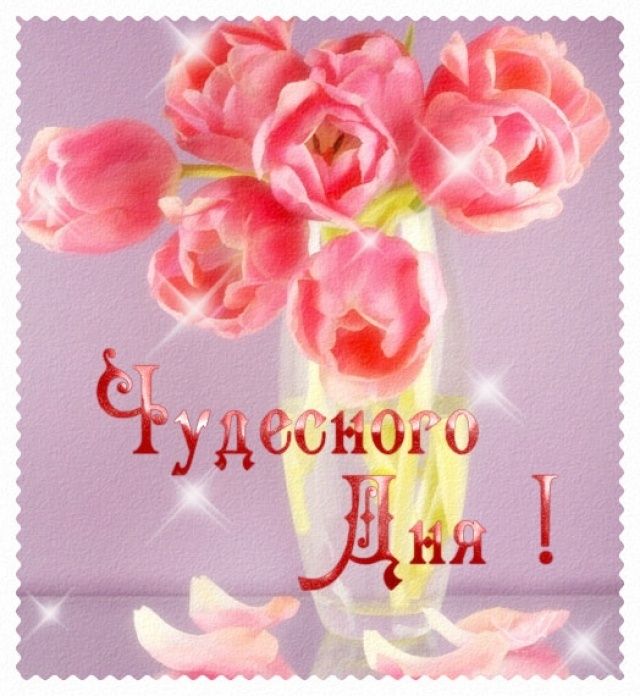 Открытка «Пожелание»: Чудесного Дня! Красивые тюльпаны для настроения. Тэги: подруга, женщина, красивая, позитив…