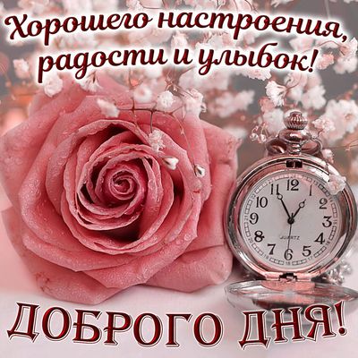 Открытка «Пожелание»: Доброго дня: настроение, радость и улыбка с розой. Тэги: улыбка, подруга, женщина, позитив…