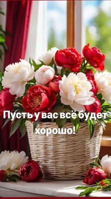 Открытка «Пожелание»: Пожелание благополучия с букетом ярких пионов. Тэги: утро, красивая, позитив, радость, цветок…