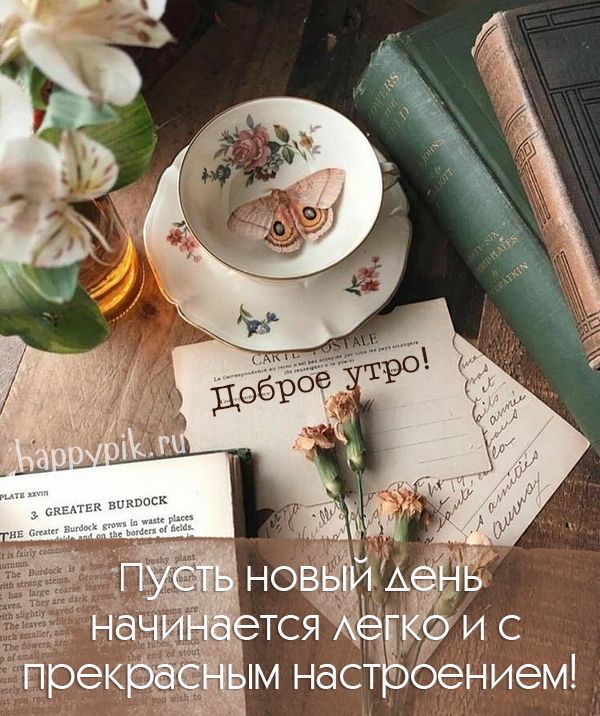 Открытка «Пожелание»: Нежное Доброе утро с прекрасным настроением. Тэги: улыбка, красивая, позитив, радость, цветок…