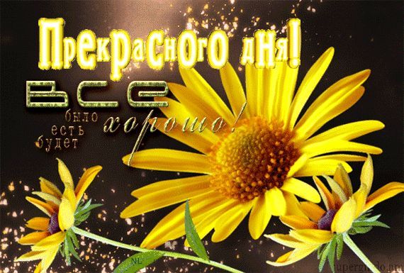 Открытка «Пожелание»: Прекрасного дня! Все будет хорошо – позитивная открытка. Тэги: улыбка, красивая, позитив…