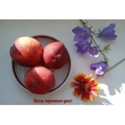 Открытка «Хорошего дня»: Пожелание хорошего дня: персики и цветы. Тэги: пожелание, улыбка, позитив, радость, цветок…