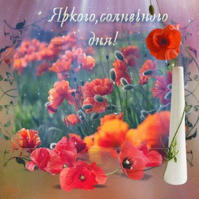 Открытка «Пожелание»: Яркого дня! Позитив и солнце в цветах. Тэги: улыбка, красивая, позитив, радость, цветок, настро…
