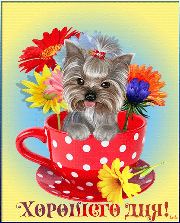 Открытка «Хорошего дня»: Хорошего дня! Милая собака в чашке с цветами. Тэги: животное, пожелание, улыбка, красивая…