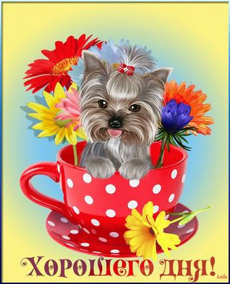 Открытка «Хорошего дня»: Хорошего дня! Милая собака в чашке с цветами. Тэги: животное, пожелание, улыбка, красивая…