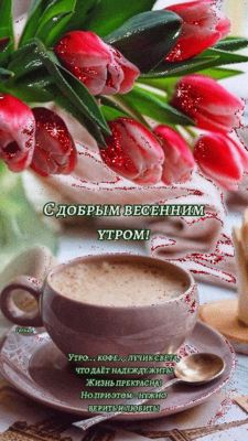 Открытка «С добрым утром»: С добрым весенним утром! Кофе, тюльпаны и позитив. Тэги: С добрым весенним утром, С добрым…
