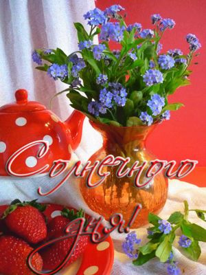 Открытка «Добрый день»: Пожелание Солнечного дня! Яркая открытка с цветами. Тэги: Добрый день и добрые пожелания…