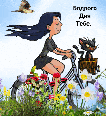 Открытка «Кот»: Бодрого Дня! Позитивная открытка с женщиной и котом. Тэги: пожелание, улыбка, девушка, красивая…