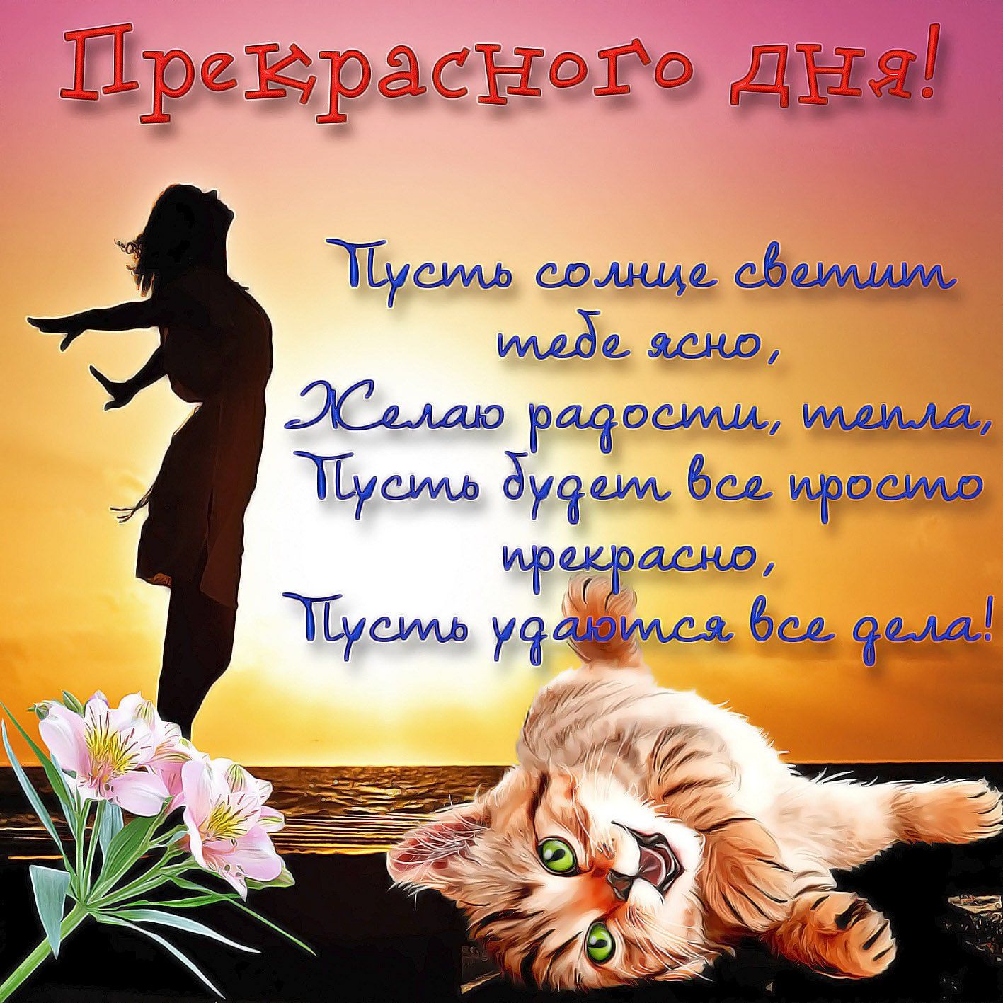 Открытка «Кот»: Прекрасного дня! Радость, кот и тепло. Тэги: животное, пожелание, улыбка, женщина, красивая, позитив…