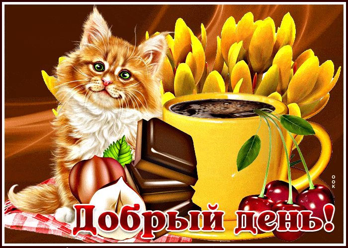 Открытка «Кот»: Добрый день! Милый кот, кофе и позитив для тебя. Тэги: животное, пожелание, улыбка, красивая, кофе…