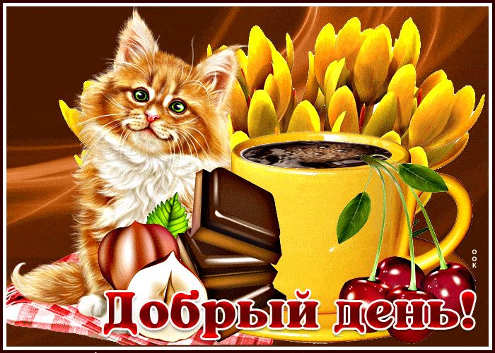 Открытка «Кот»: Добрый день! Милый кот, кофе и позитив для тебя. Тэги: животное, пожелание, улыбка, красивая, кофе…