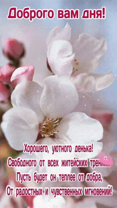 Открытка «Добрый день»: Открытка доброго дня с весенними цветами. Тэги: чувственный, Добрый день и добрые пожелания…