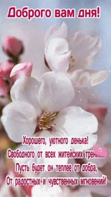 Открытка «Добрый день»: Открытка доброго дня с весенними цветами. Тэги: чувственный, Добрый день и добрые пожелания…