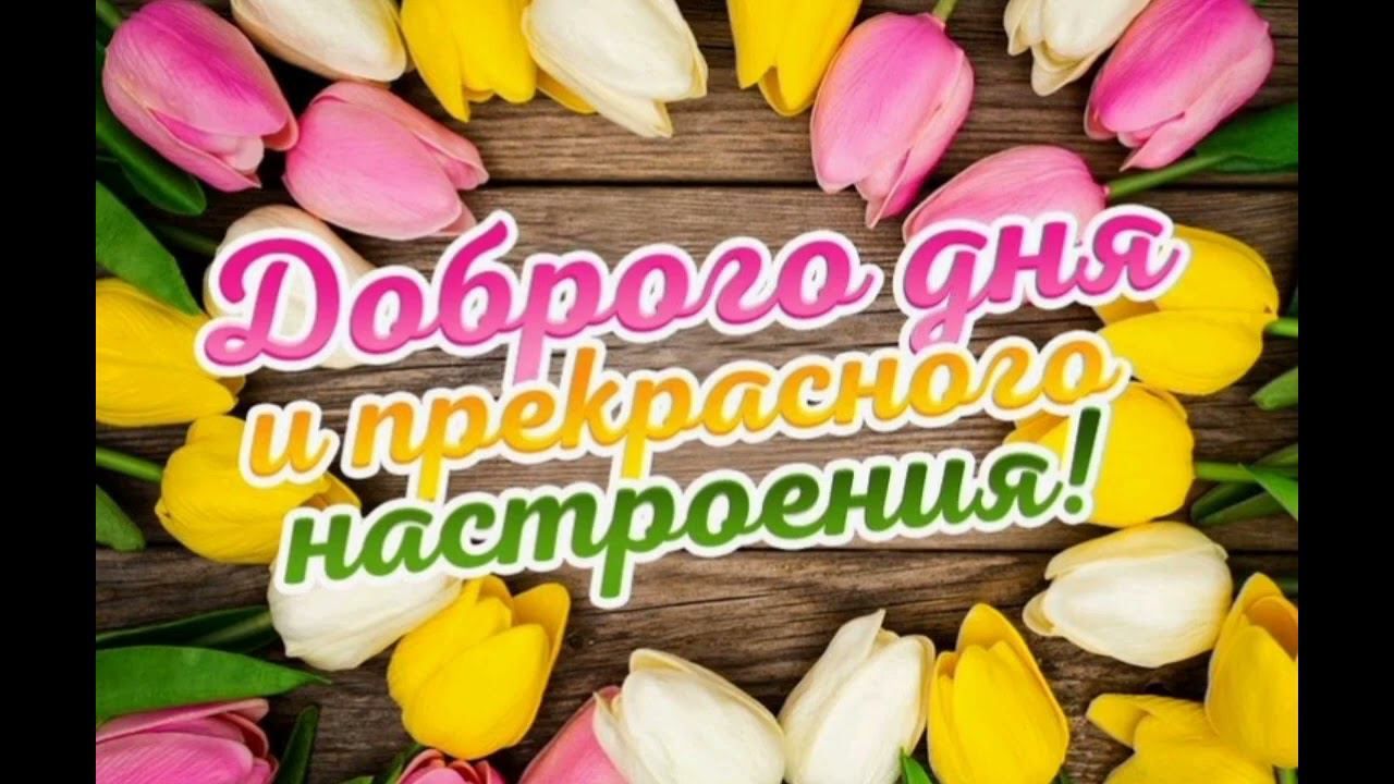 Открытка «Пожелание»: Доброго дня и прекрасного настроения!. Тэги: улыбка, друг, подруга, красивая, позитив, радость…