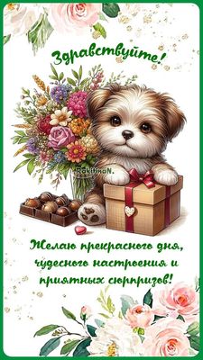 Открытка «Животное»: Здравствуйте! Прекрасный день и чудесное настроение. Тэги: пожелание, улыбка, красивая, позитив…