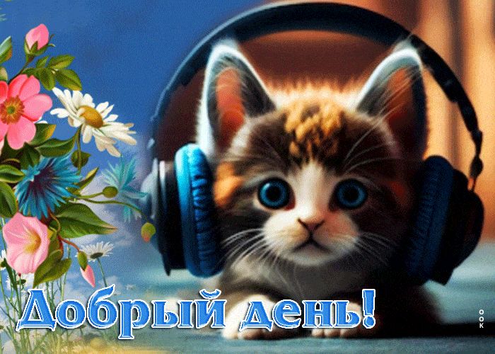 Открытка «Кот»: Добрый день! Милый кот в наушниках. Тэги: животное, пожелание, улыбка, красивая, позитив, радость…
