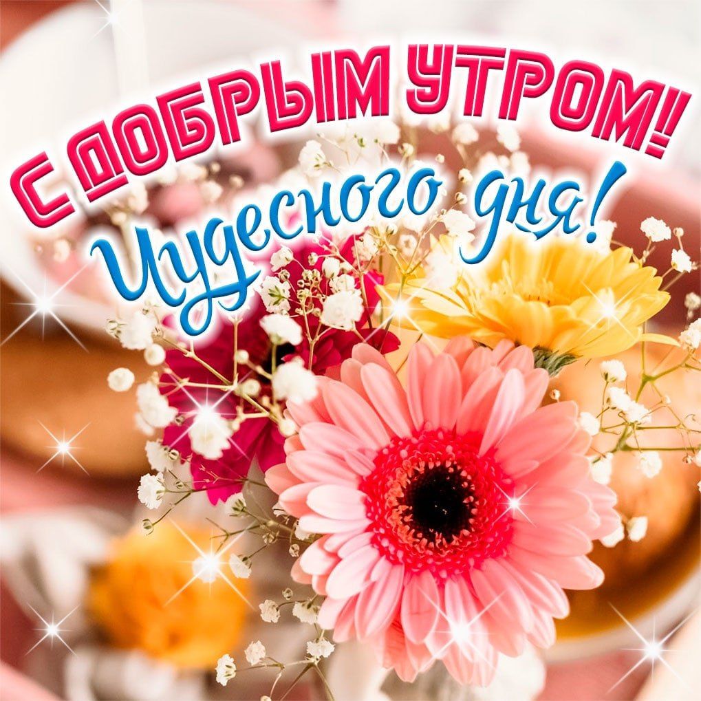 Открытка «Пожелание»: Доброе утро! Чудесного дня и позитива. Тэги: улыбка, утро, красивая, позитив, радость, цветок…