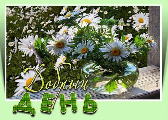 Открытка «Пожелание»: Добрый день! Красивая открытка с ромашками и настроением. Тэги: улыбка, красивая, позитив…