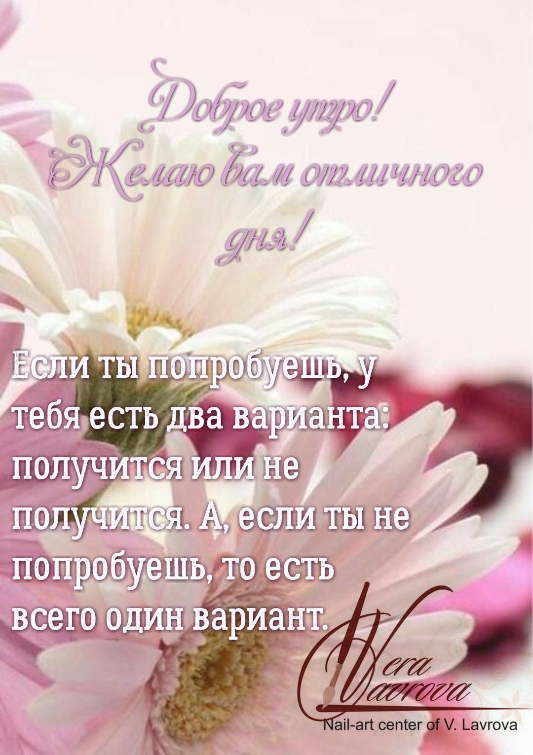 Открытка «Пожелание»: Доброе утро: мотивация на отличный день!. Тэги: утро, красивая, позитив, радость, цветок…