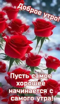 Открытка «Пожелание»: Доброе утро! Красивые розы и доброе пожелание. Тэги: улыбка, утро, красивая, позитив, радость…
