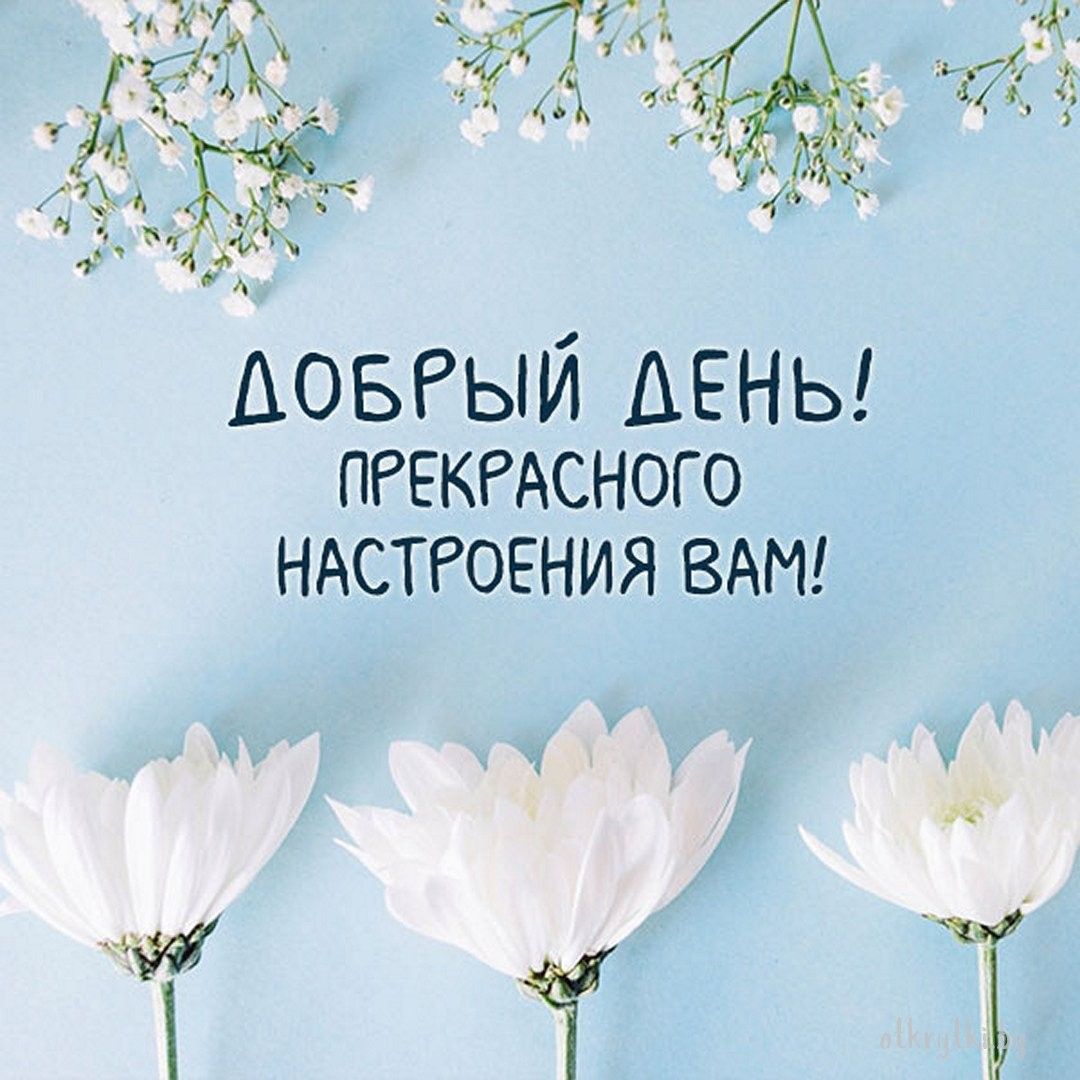 Открытка «Пожелание»: Добрый день! Пожелание прекрасного настроения. Тэги: улыбка, позитив, радость, добрый день…