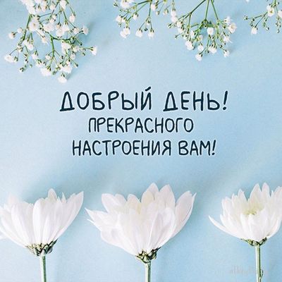 Открытка «Пожелание»: Добрый день! Пожелание прекрасного настроения. Тэги: улыбка, позитив, радость, добрый день…