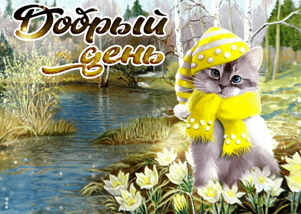Открытка «Кот»: Добрый день: милый котенок в весеннем настроении. Тэги: животное, пожелание, шапка, шарф, красивая…