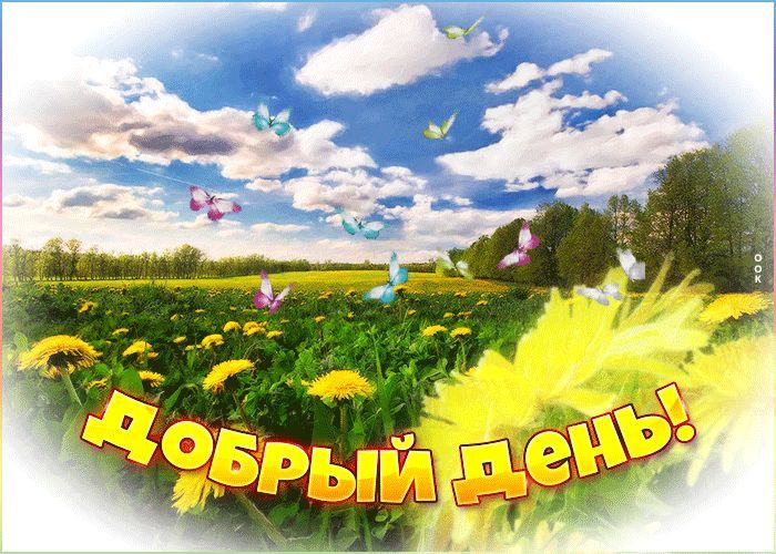 Открытка «Пожелание»: Добрый день! Позитивная открытка с бабочками. Тэги: улыбка, красивая, позитив, радость, добрый…