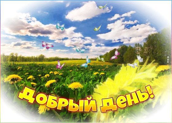 Открытка «Пожелание»: Добрый день! Позитивная открытка с бабочками. Тэги: улыбка, красивая, позитив, радость, добрый…