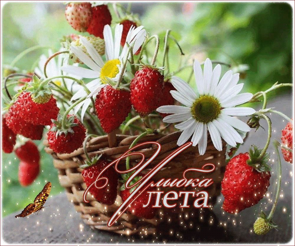 Открытка «С добрым утром»: Улыбка лета: красивая открытка с летним позитивом. Тэги: С добрым, летним утром, С добрым…