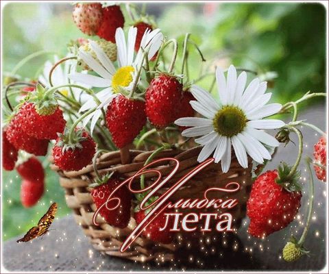 Открытка «С добрым утром»: Улыбка лета: красивая открытка с летним позитивом. Тэги: С добрым, летним утром, С добрым…