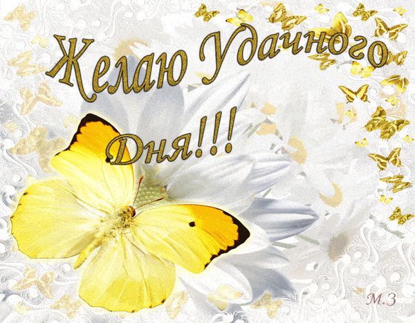 Открытка «Животное»: Позитивная открытка «Удачного Дня!» с бабочкой. Тэги: пожелание, красивая, позитив, радость…