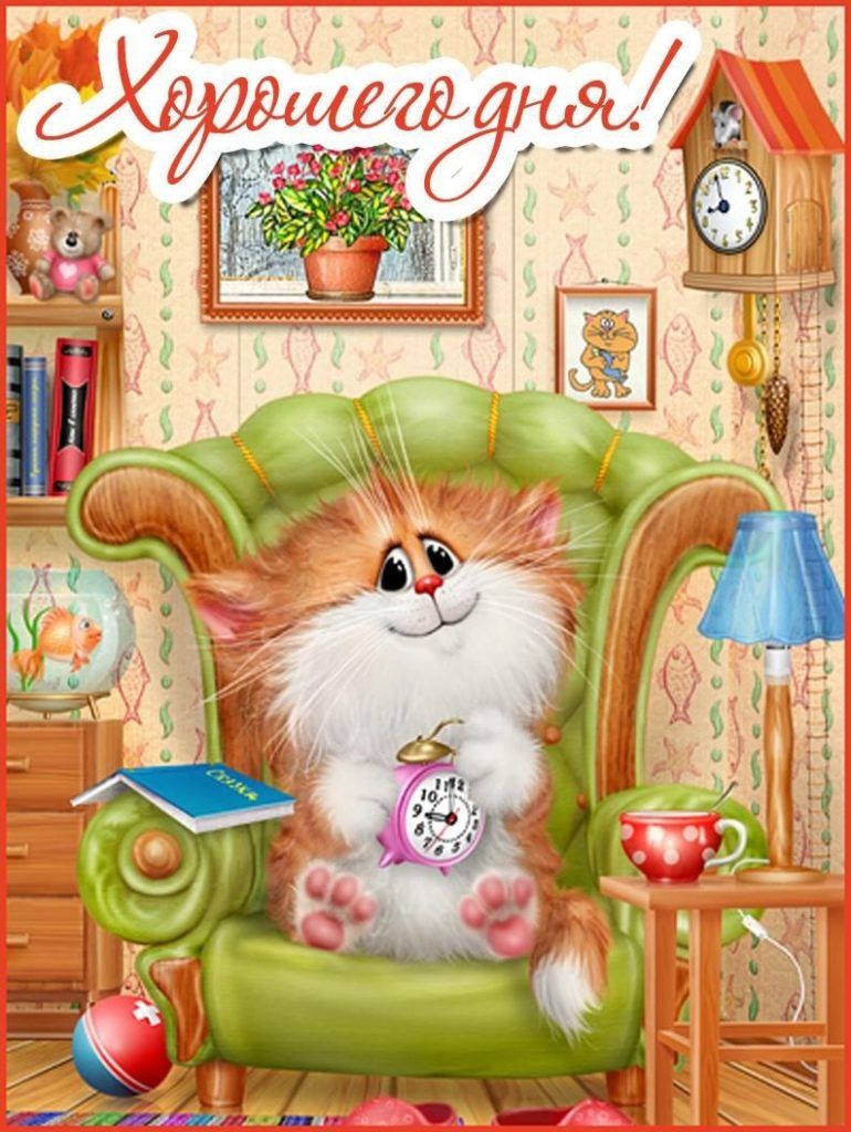 Открытка «Хорошего дня»: Хорошего дня! Позитив с пушистым котом и уютом. Тэги: кот, животное, пожелание, улыбка…