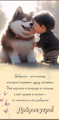 Открытка «Животное»: Доброе утро! Доброта, счастье и улыбка. Тэги: пожелание, улыбка, красивая, позитив, радость…