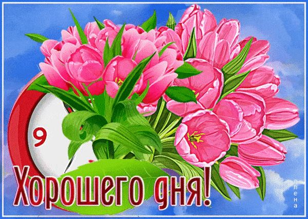 Открытка «Хорошего дня»: Хорошего дня! Яркие тюльпаны для настроения. Тэги: пожелание, утро, красивая, позитив…