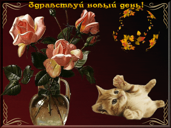 Открытка «Кот»: Здравствуй новый день! Открытка с котом и розами. Тэги: пожелание, улыбка, утро, позитив, радость…