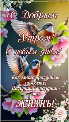 Открытка «Животное»: Доброе Утро! Открытка про Жизнь, Радость и Счастье. Тэги: пожелание, красивая, позитив, радость…