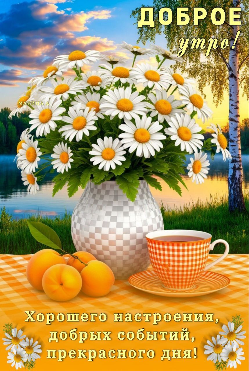 Открытка «Пожелание»: Доброе утро и прекрасного дня! Пожелание с ромашками. Тэги: утро, красивая, позитив, цветок, чай…
