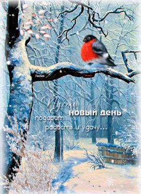 Открытка «Пожелание»: Новый день: Радость, Удача. Зимняя открытка. Тэги: красивая, позитив, радость, настроение…