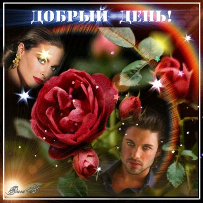 Открытка «Мужчина»: Добрый день! Красивая открытка с розой и любовью. Тэги: женщина, красивая, позитив, радость…